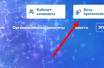 ЭПГ 4 электронное предварительное голосование
